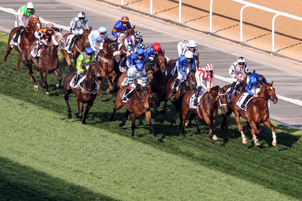 Thirtieth edition of Dubai World Cup to be run on March 28 – Sports – Other