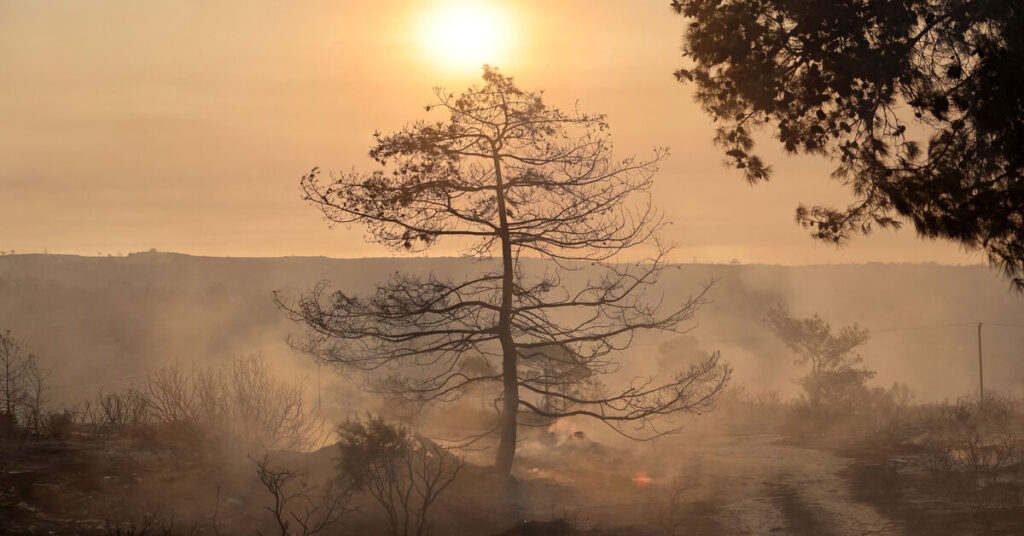 Two dead, homes burn in massive Cyprus wildfire