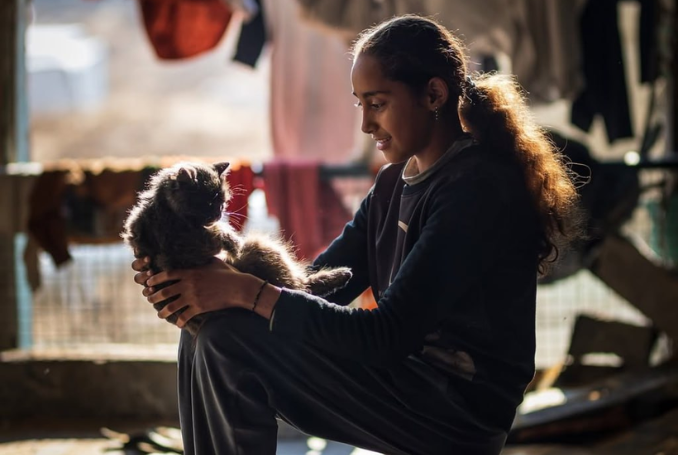 Milk for Kittens, No Bread for Us in Gaza – A Place of Generosity