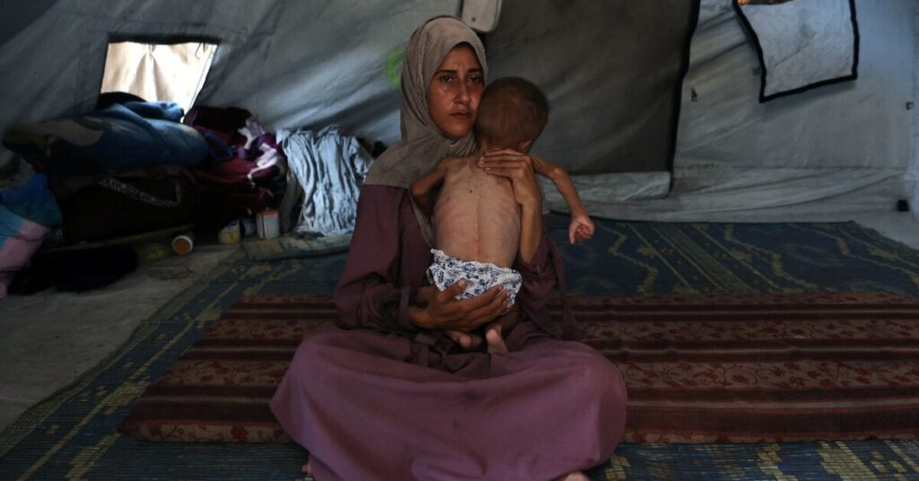 Israel says opening routes into Gaza to increase food aid