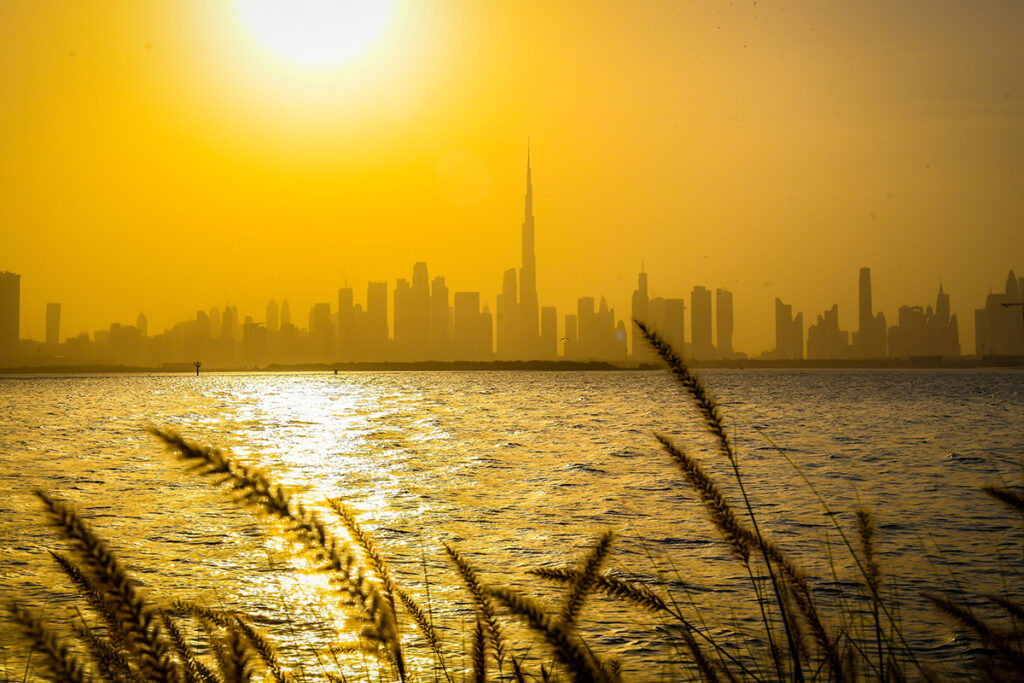 Dubai population hits 4 million mark as emirate targets 5 million by 2030: Report