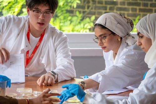 Hamdan Centre for Giftedness and Innovation Students Join Cambridge University Pre‑University Program