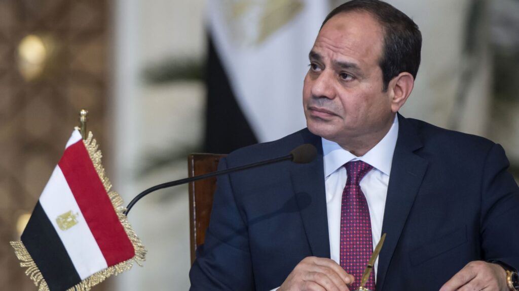Sisi: New Public Sector Hires Will Undergo Strict Screening