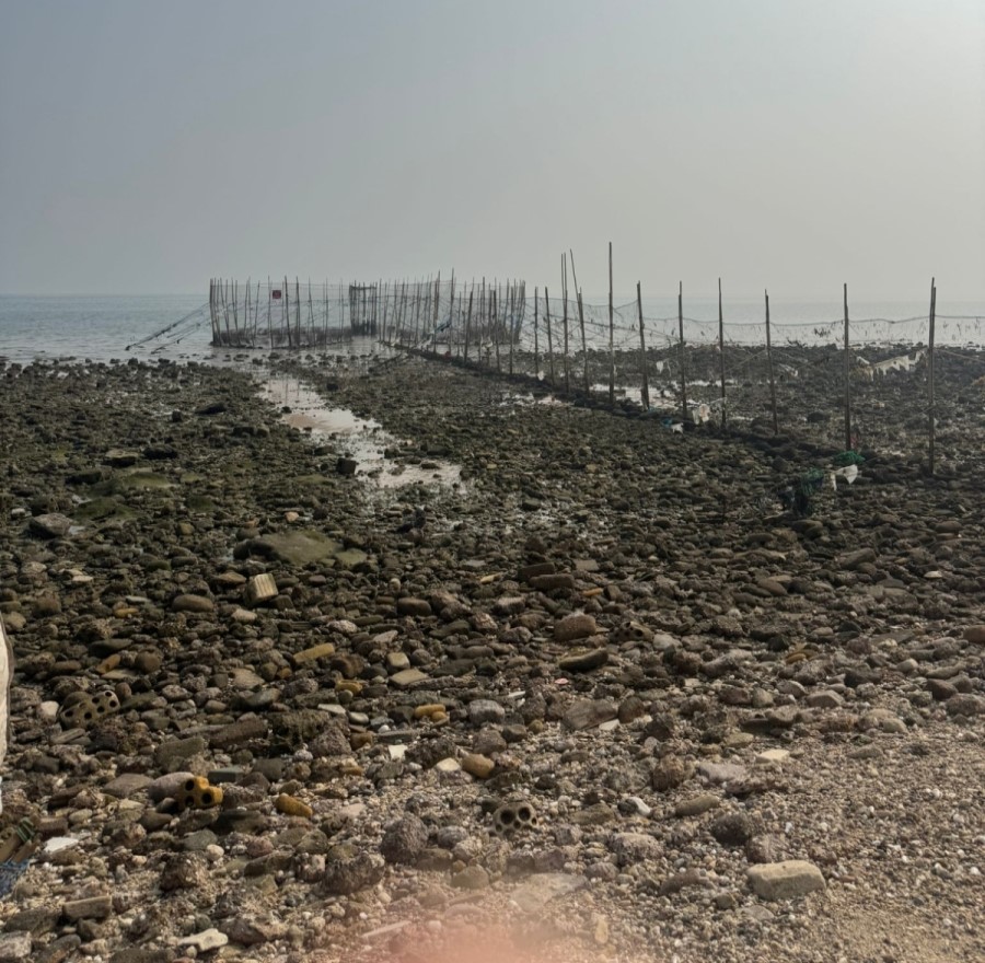 EPA issues violation after dead animals found in licensed Al-Mangaf Beach pen