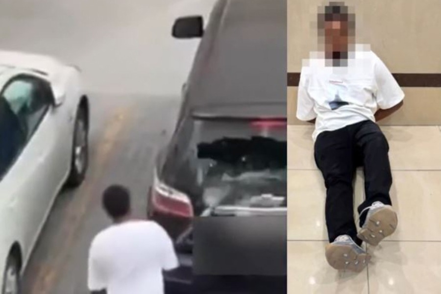 Unidentified man in abnormal state armed with iron bar, carrying lion cub, goes on rampage