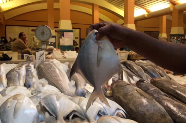 Plans underway to relocate Al-Mubarakiya Fish Market amid odor complaints